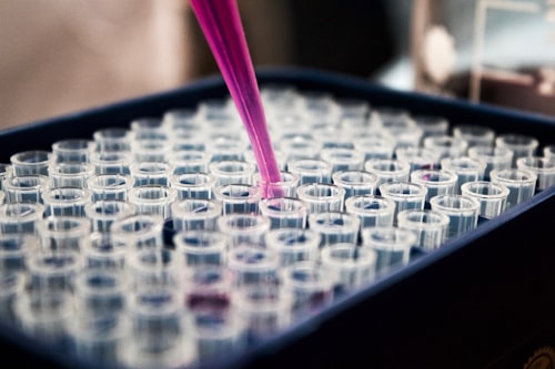 Research & Universities